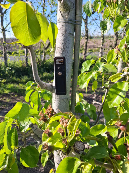 TreeTag with 1 Year Subscription