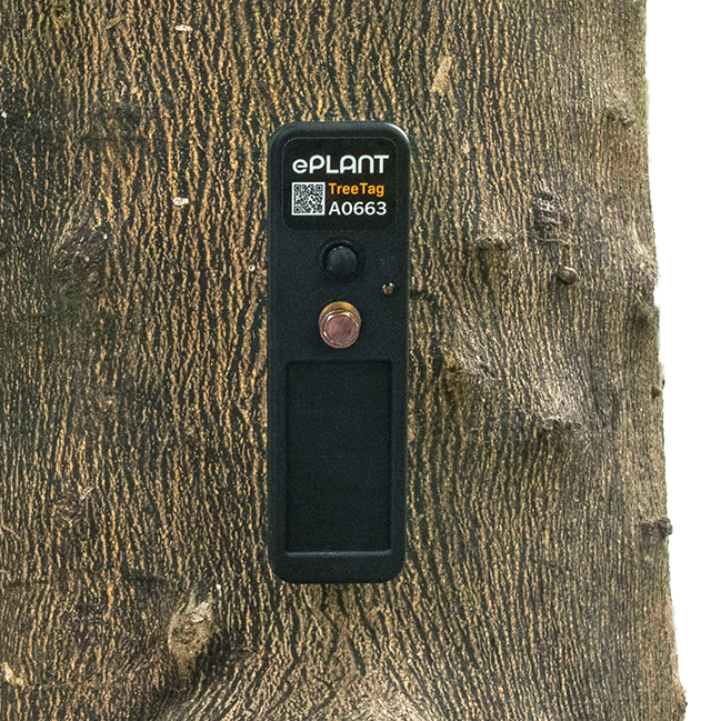 TreeTag with 1 Year Subscription