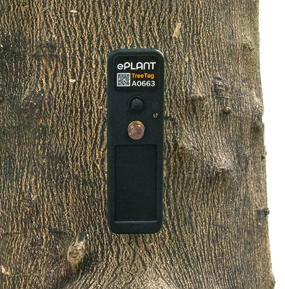 TreeTag with 1 Year Subscription