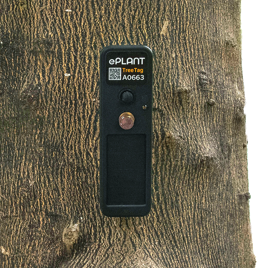 TreeTag with 1 Year Subscription