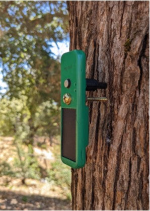 TreeTag with 1 Year Subscription