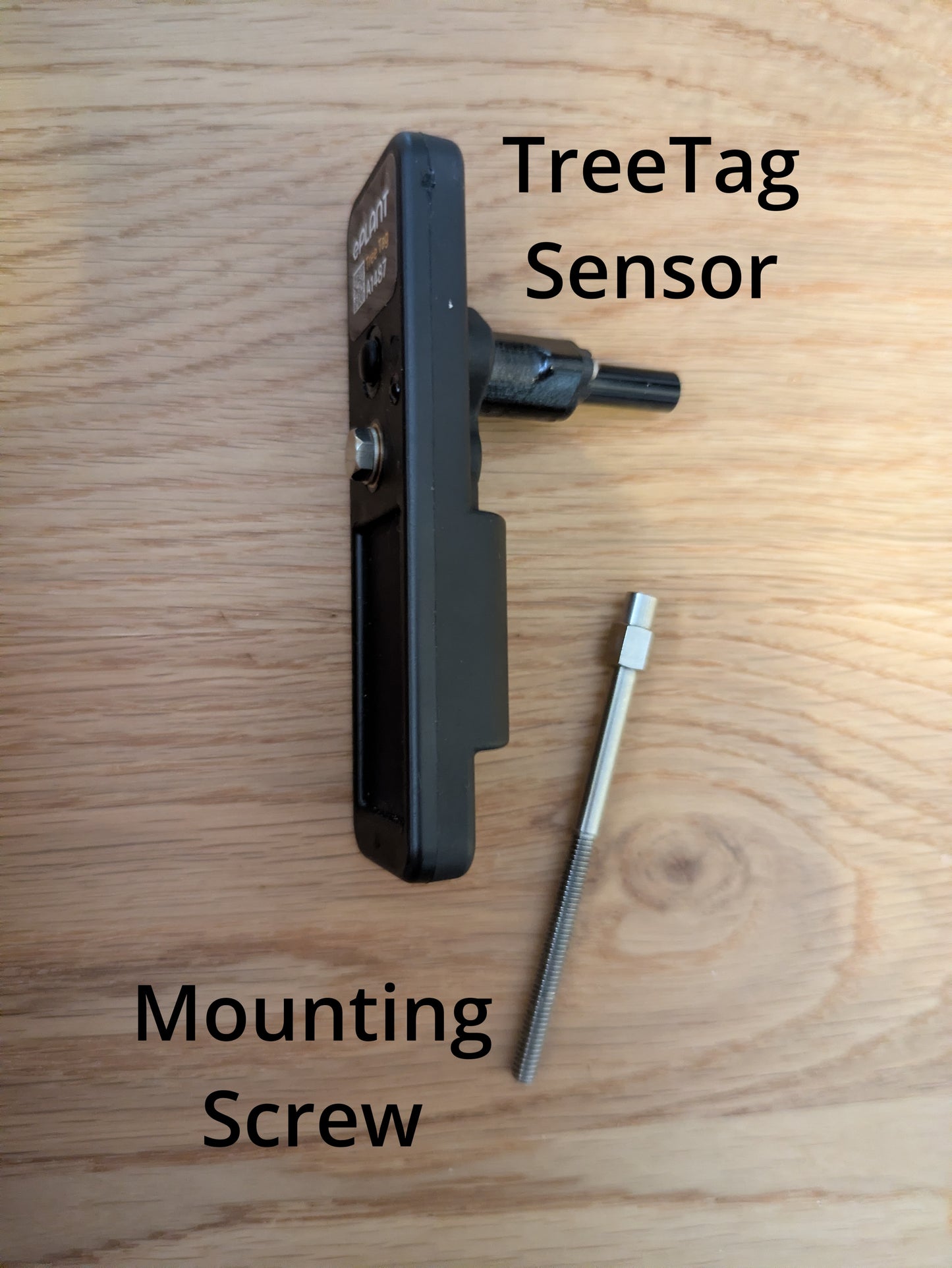 TreeTag with 1 Year Subscription